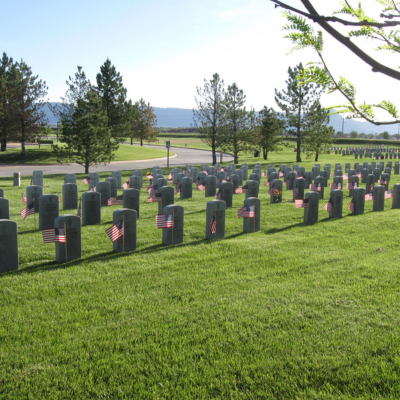 Rows of graves with flags on each and green grass.